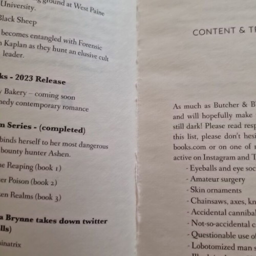Butcher and Blackbird by Brynne Weaver, new, missing one page