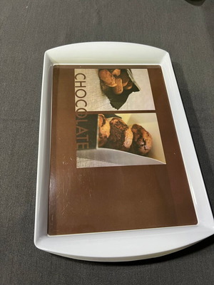 Plastic serving tray used 42x27.5cm