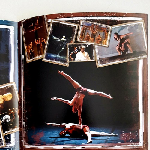 Cirque Eloize Rain performance program like new