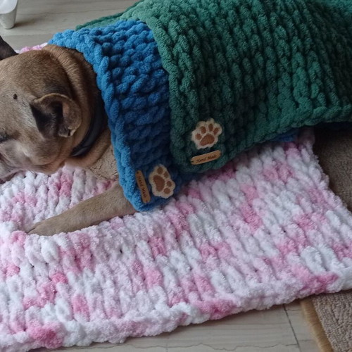 Handmade pet blanket with Alize Puffy yarn made to order, hypoallergenic