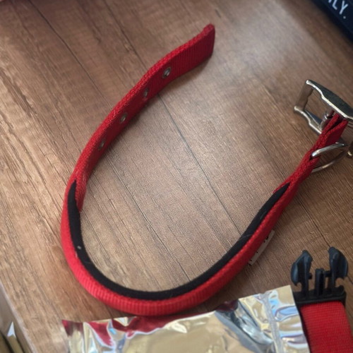Dog harness and collar for medium dogs like new, flea and tick protection