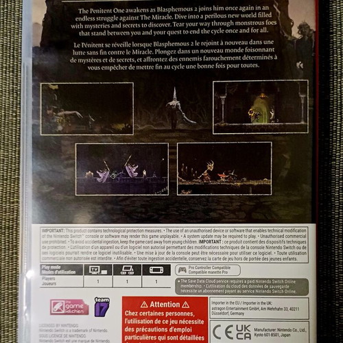 Blasphemous II Nintendo Switch used, excellent condition
