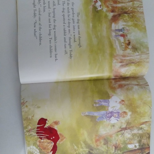 Little Teddy Left Behind book used in English for children