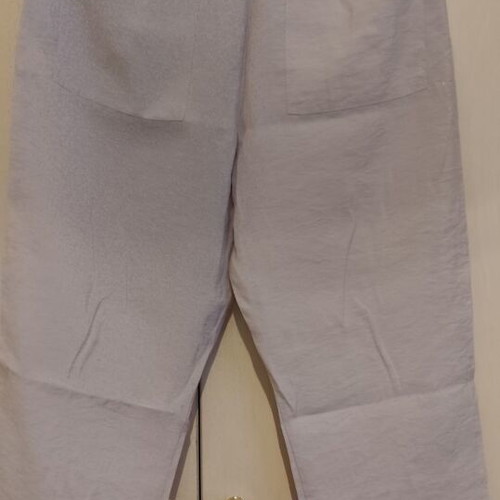 Zara Sand-Colored Pants Large New
