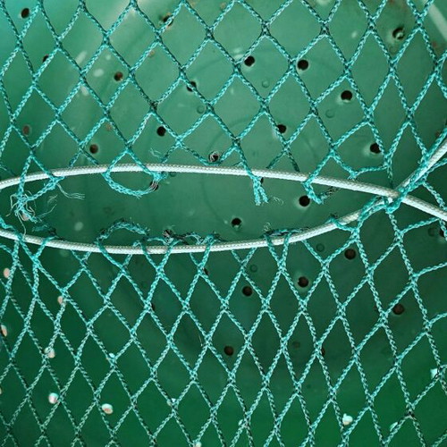 Live fish storage kiurtos like new