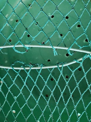 Live fish storage kiurtos like new