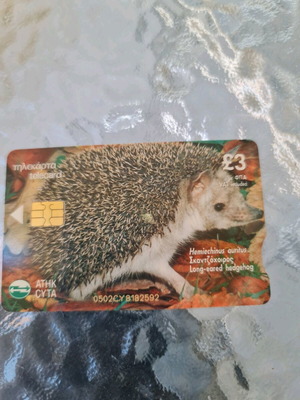 Collectible hedgehog telecard used 03/2002 120,000