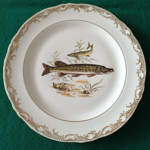 Limoges vintage plates with freshwater fish decoration, like new, set of 5