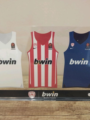Plexiglass Olympiakos used, authentic