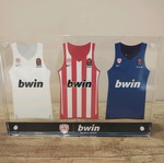 Plexiglass Olympiakos used, authentic