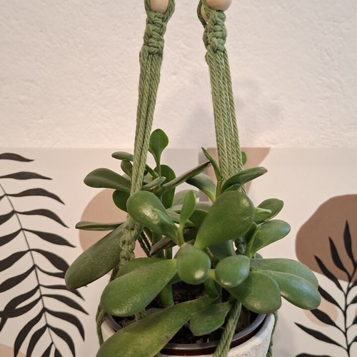 Macrame plant hanger handmade, new, 63 cm length