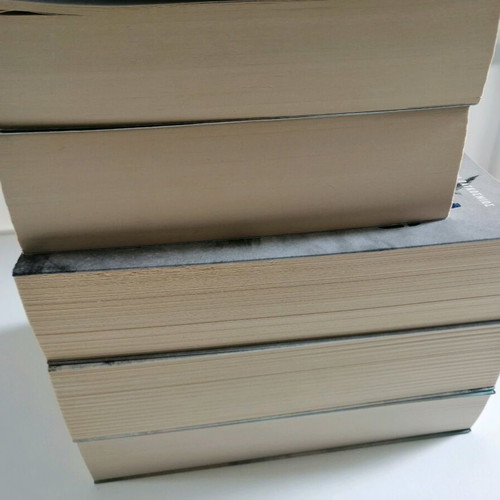 Camilla Lackberg book set of 5 used