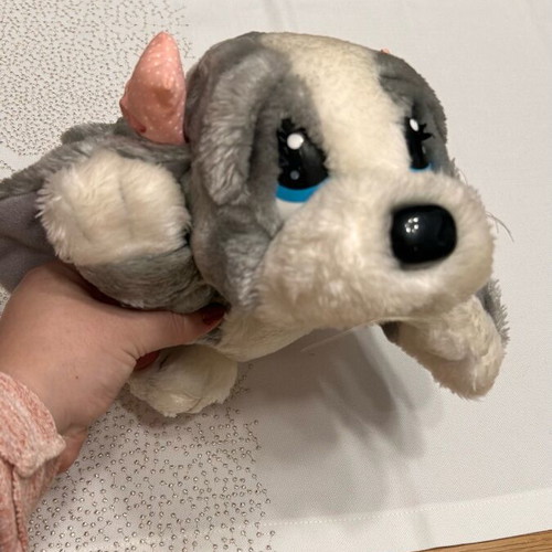 Plush dog gray teddy bear like new, about 25 cm