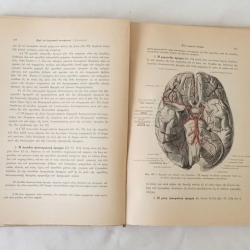 Anatomy of Man by G. Sklavounos used, rare 3rd volume, 1934-1938 edition