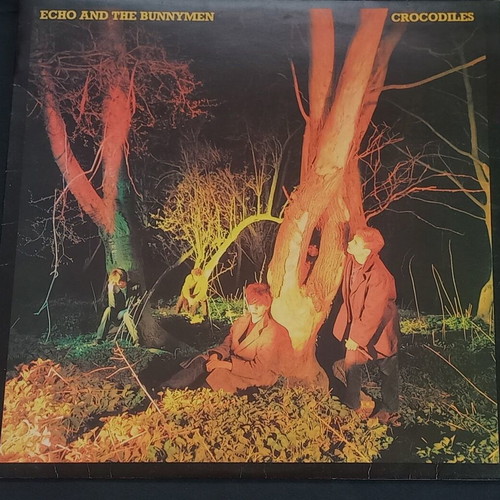 Echo and The Bunnymen Crocodiles LP μεταχειρισμένο, rock