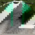 Διακοσμητική Φανέλα Παναθηναϊκού 2024-2025 – 3D Printed Διακοσμητικό