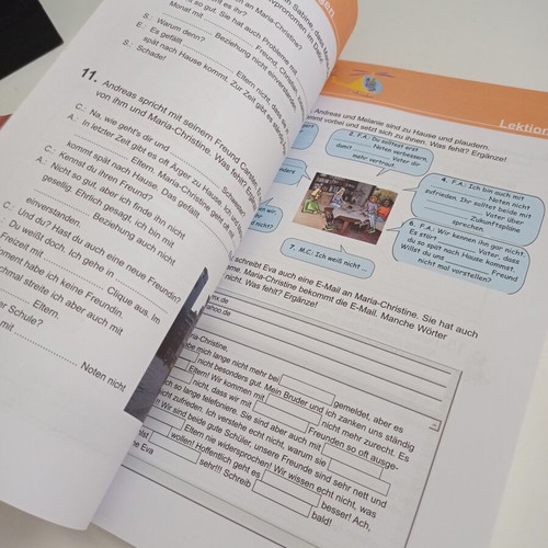 German Workbook B General Lyceum used