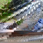 Καπέλο περιστροφικό Ø150 mm ανοξείδωτος χάλυβας