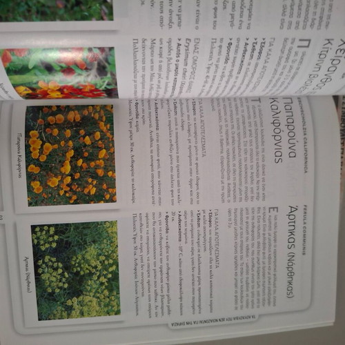 Gardening magazines like new, pack of 2