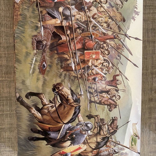 Osprey card postal set of 40 like new