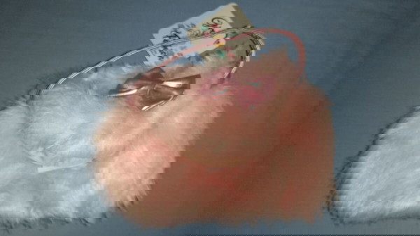 ΤΣΑΝΤΑΚΙ ΓΙΑ ΚΟΡΙΤΣΙΑ