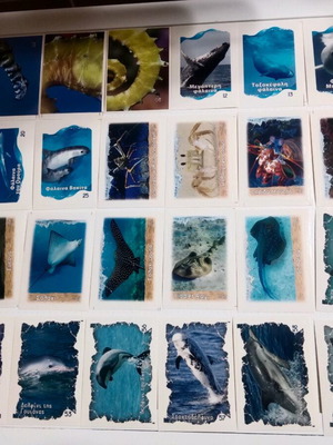 Madmax Ocean World The World of the Deep 80 used stickers