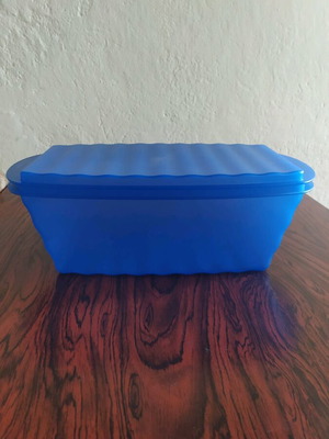 Tupperware storage container new, large