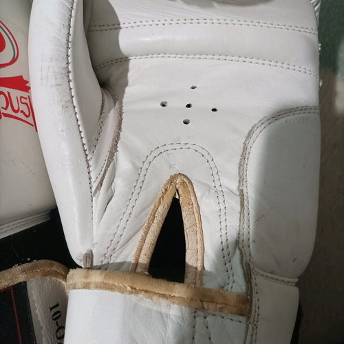 Olympus boxing gloves like new