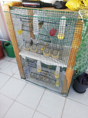 Bird cage used, dimensions W76.5xD38.5xH110cm