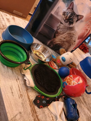 Dog set like new with carrying bag, bowls, toys and accessories