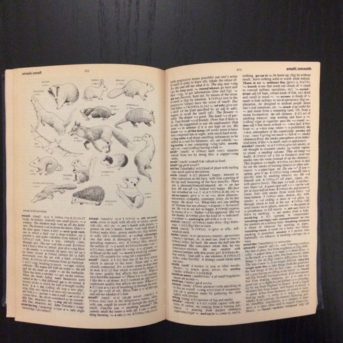 Oxford Advanced Learner's Dictionary of Current English, 1984 edition