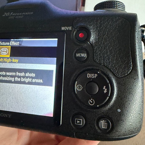 Sony H300 camera with 20 megapixels and 35x optical zoom