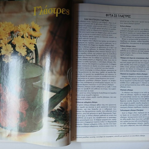 Plants in Pots Anthoculture Guide Volume 1 used