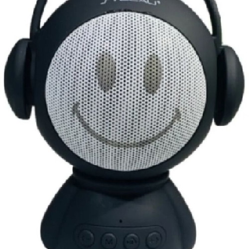 Portable wireless Bluetooth speaker new with USB, FM radio, MP3
