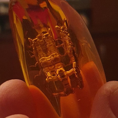Decorative items with scorpion in resin, new, set of 2 pieces