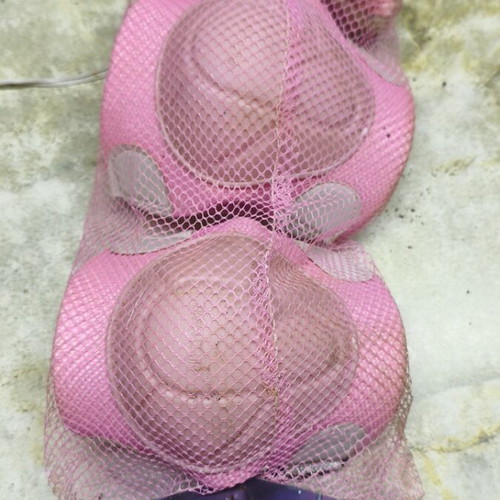 Knee pads used with storage stains