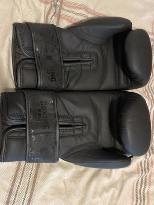 Boxing Pro 16oz boxing gloves like new