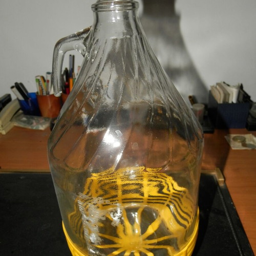 Glass damigiana 5 Lt with base like new
