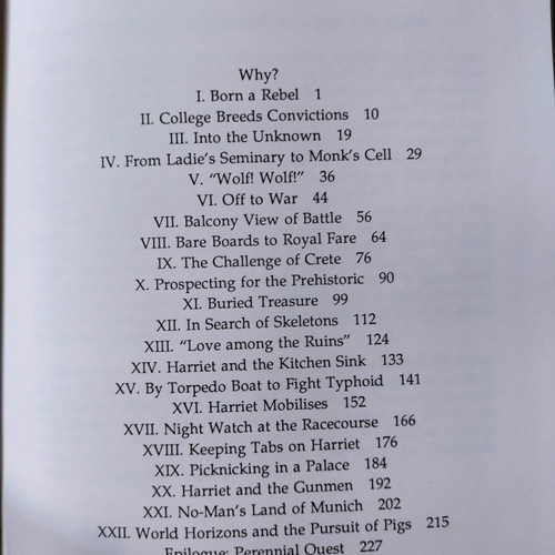 Born to Rebel used book in Greek