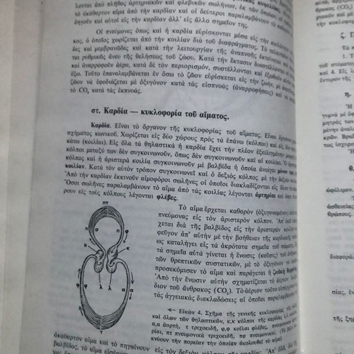 Book Genikon Grapton Frontistirion Mathematics Geography Zoology 1972 new