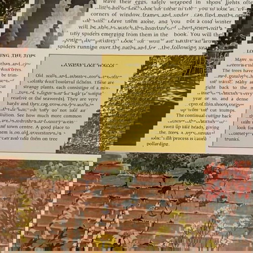 Βιβλίο Purnell's Nature All Around καινούργιο, αγγλικό για τη φύση