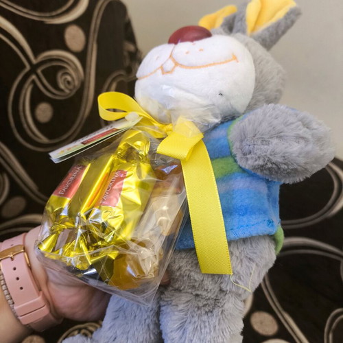 Plush Bunny new with chocolates and candies, Old MacDonald Had a Farm