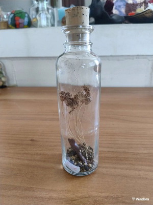 Dried flower in glass bottle used, height 23 cm