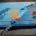  ΤΣΑΝΤΑ ΓΙΑ ΨΩΝΙΑ