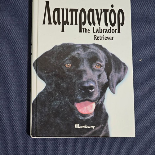 Labrador book used in very good condition