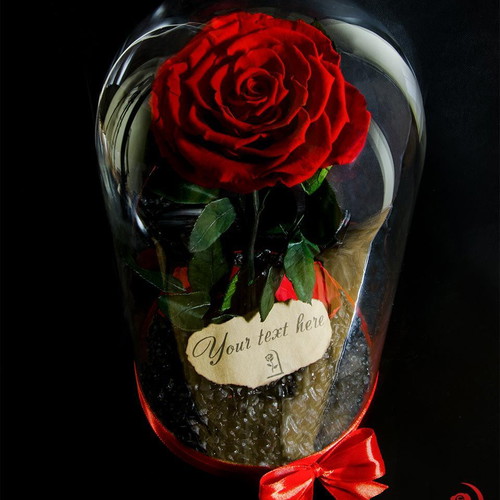 Red Eternal Rose in Glass Dome made to order with Luxury Gift Box