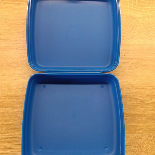 Tupperware Frozen toast and snack container