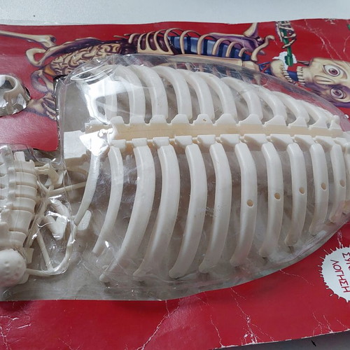 Discover the Human Body Magazine Issue 3 sealed