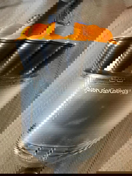 σκούπα Dyson ball allergy