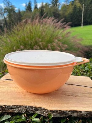 Tupperware Junior Bowl 3L with White Lid new